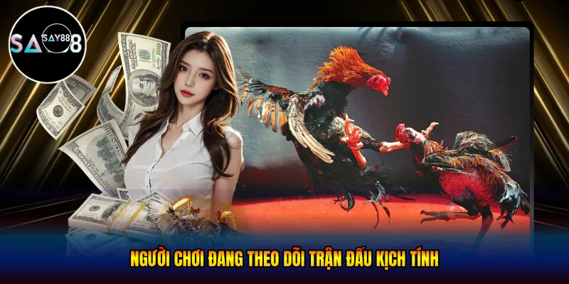 Người chơi đang theo dõi trận đấu kịch tính